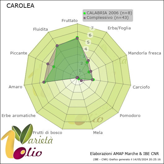Profilo sensoriale medio della cultivar  CALABRIA 2006